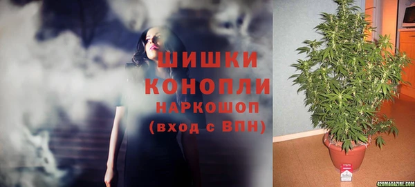 дживик Беломорск