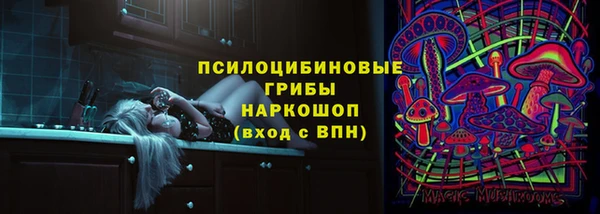 хмурый Белокуриха