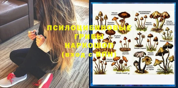 дживик Беломорск