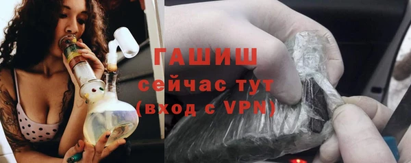 хмурый Белокуриха