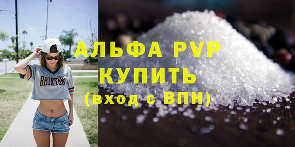 хмурый Белокуриха