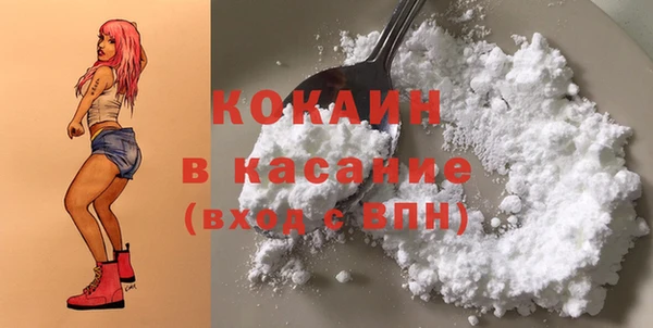 хмурый Белокуриха