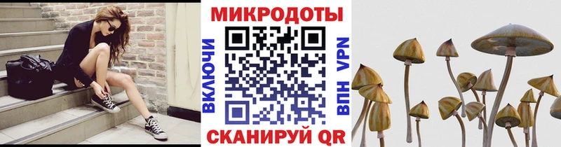 как найти закладки  Сердобск  Галлюциногенные грибы мухоморы 